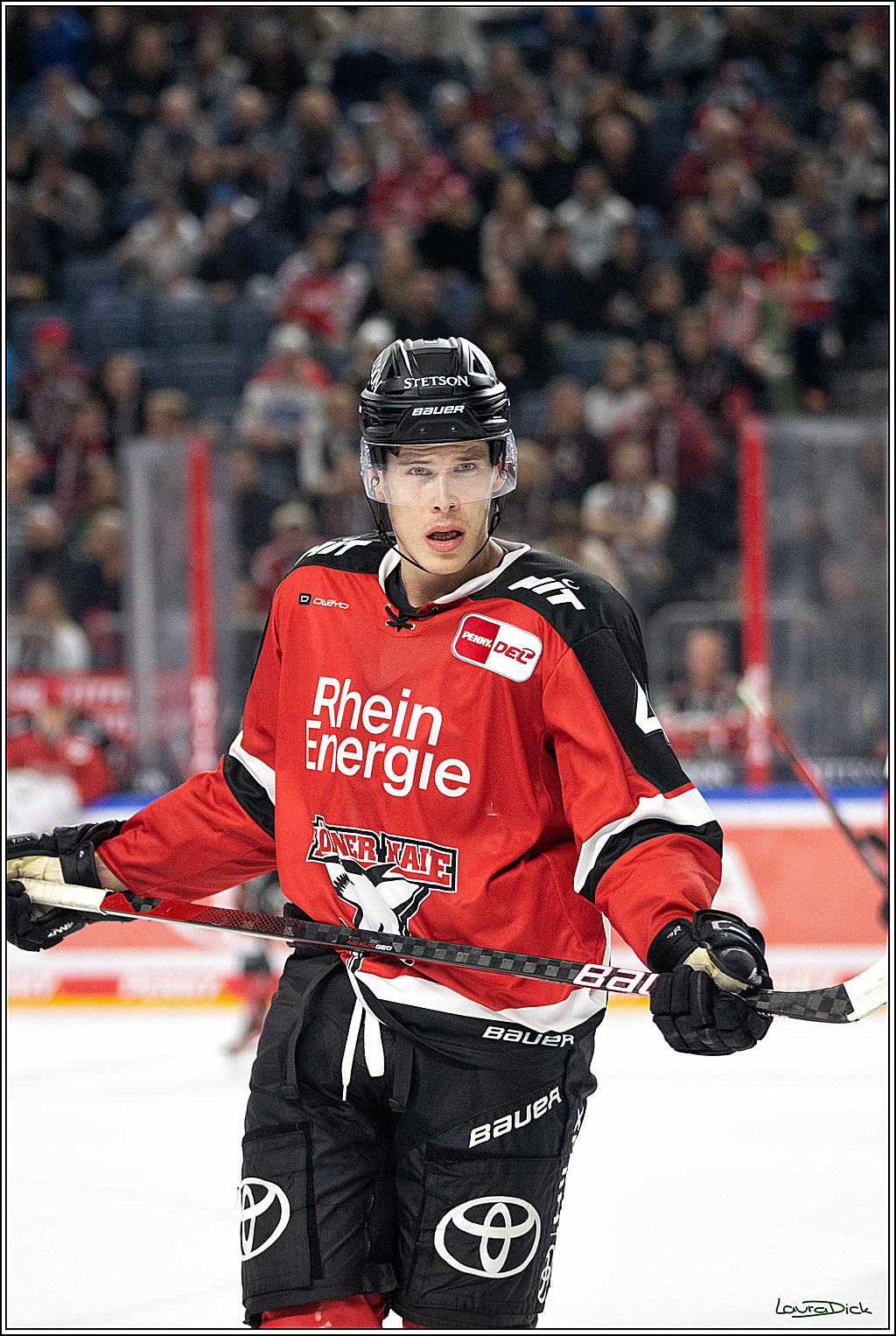 PENNY DEL; Koelner Haie- Bietigheim Steelers; Koeln, 19.11.2021